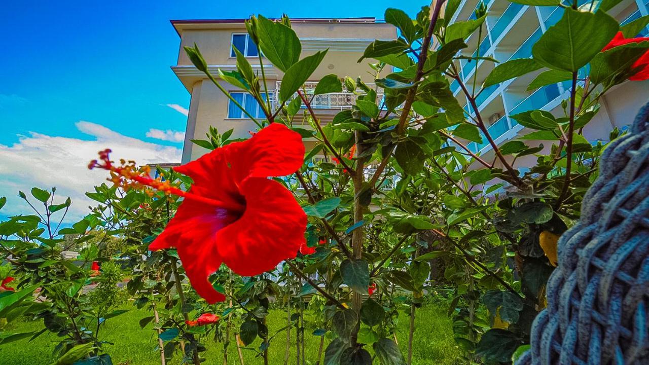 Club Wasa Holiday Village All Inclusive Toslak ภายนอก รูปภาพ