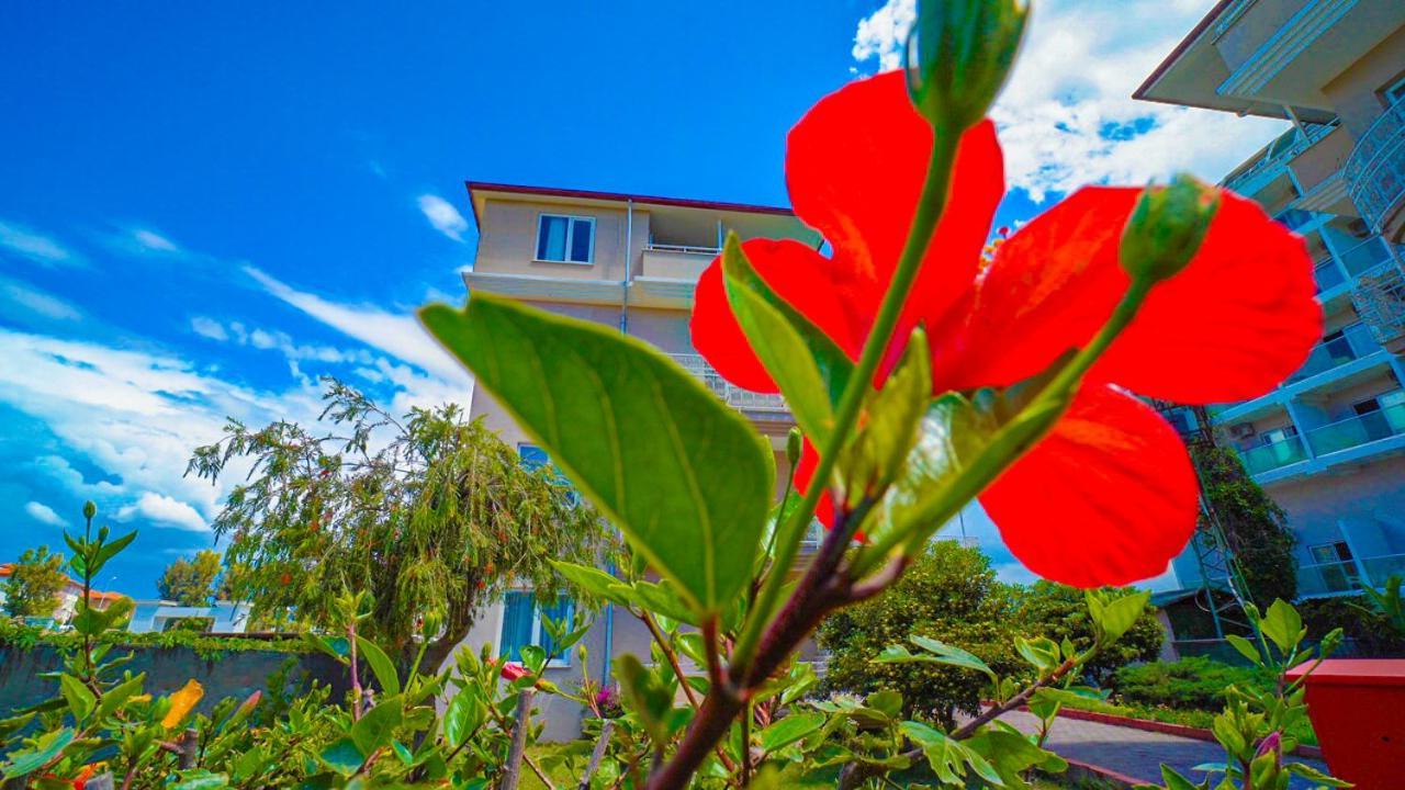 Club Wasa Holiday Village All Inclusive Toslak ภายนอก รูปภาพ